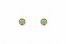 Blue 14Kt. Earrings