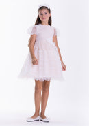 Beauty Elegant Dress