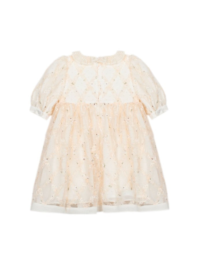 Tulle Beige Dress