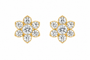 Clear & Clear Flower 14Kt. Earrings