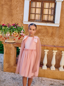 Pale Pink Dress Sparkling Tulle and Bows