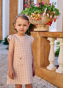 Pale Pink & Golden Beauty Dress