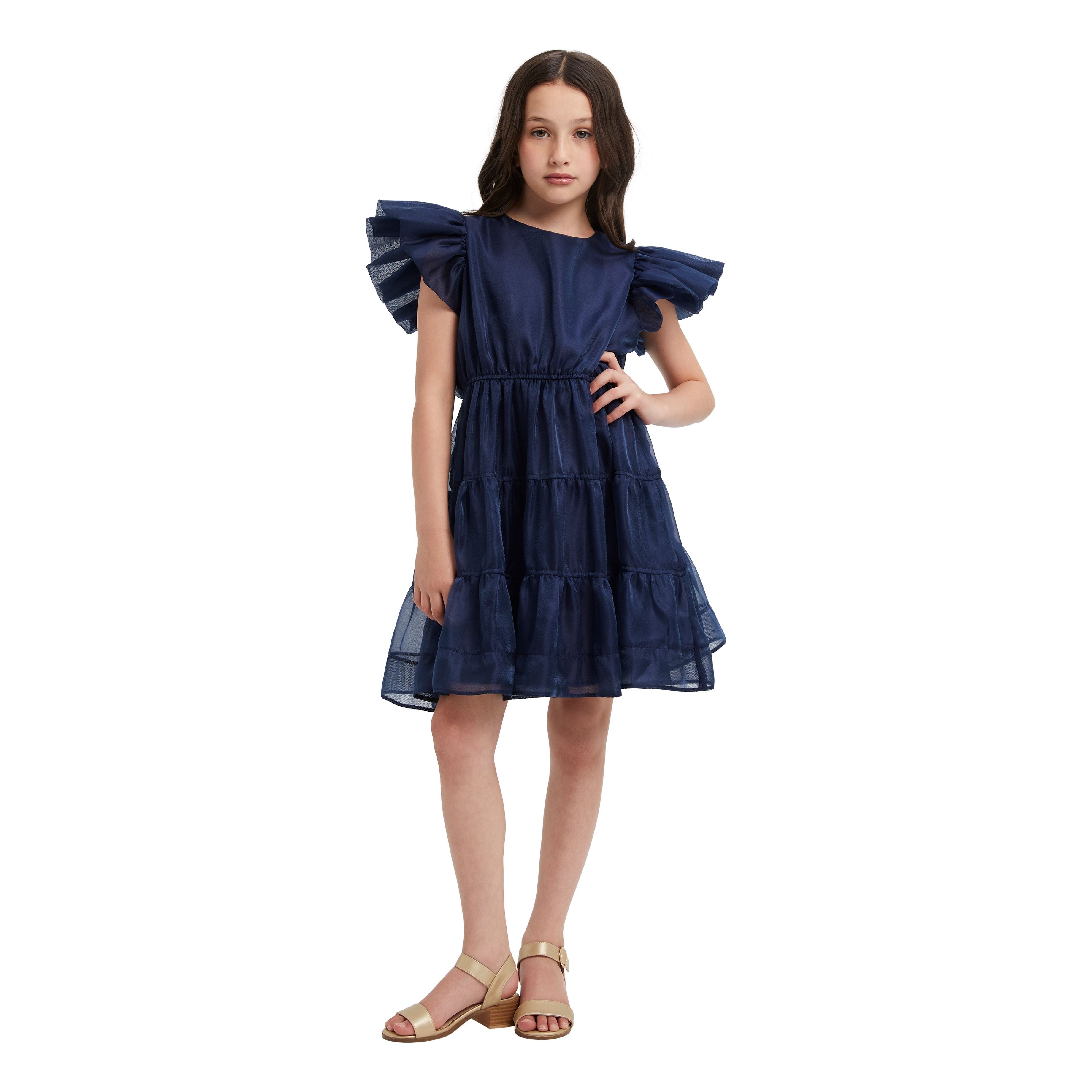 Oshin Organza Dress