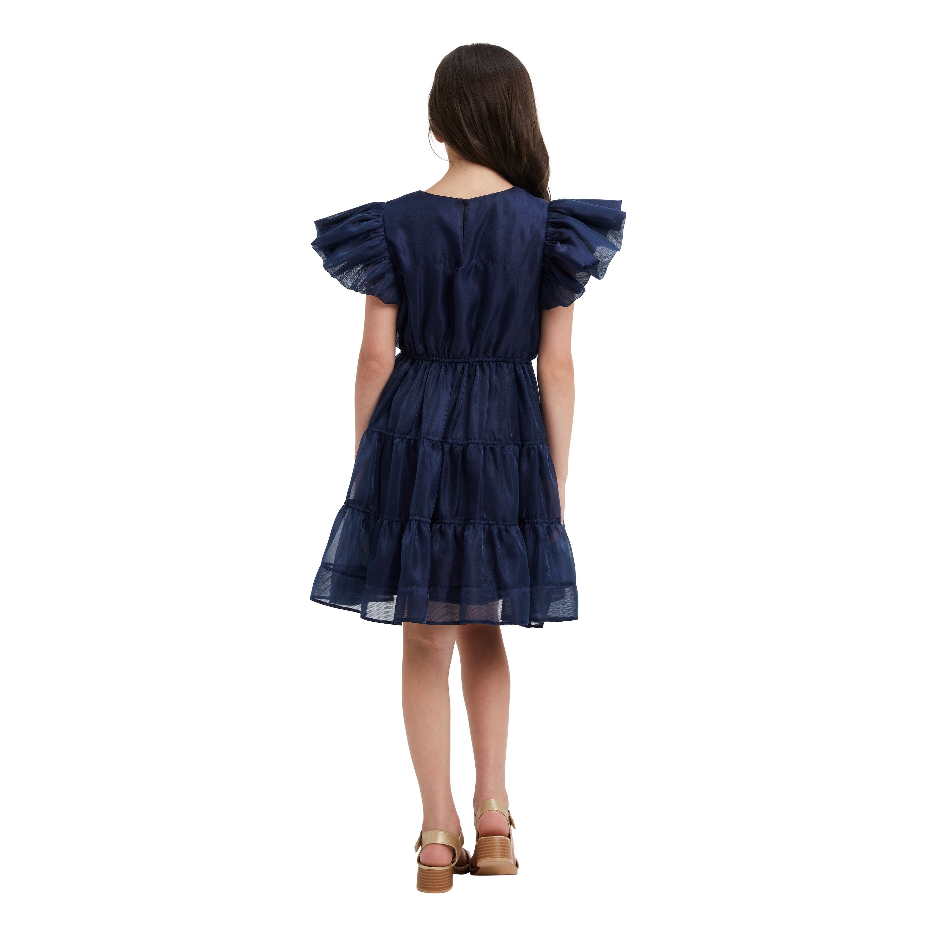 Oshin Organza Dress