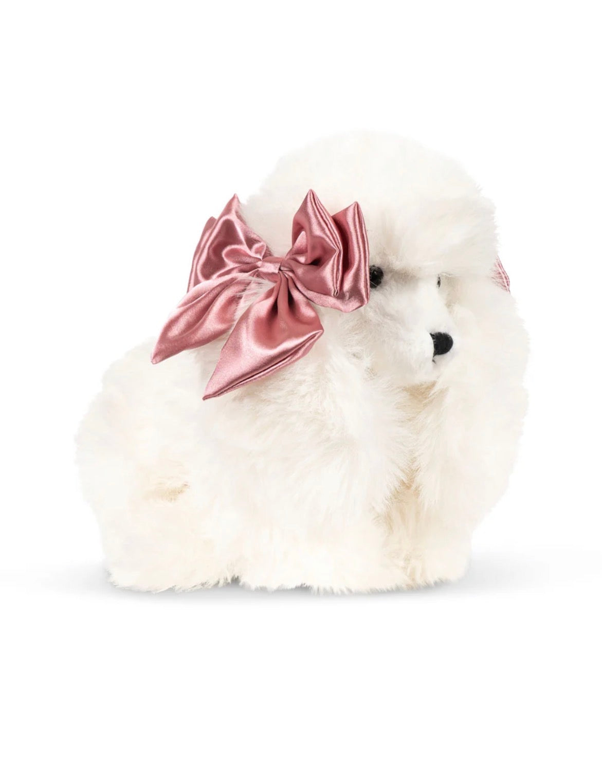 Spitz Puppy Beige