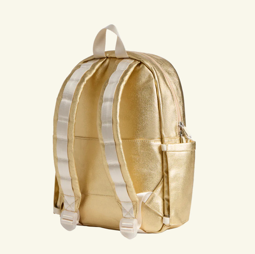 Kane Double Pocket Large Backpack Silver/Gold