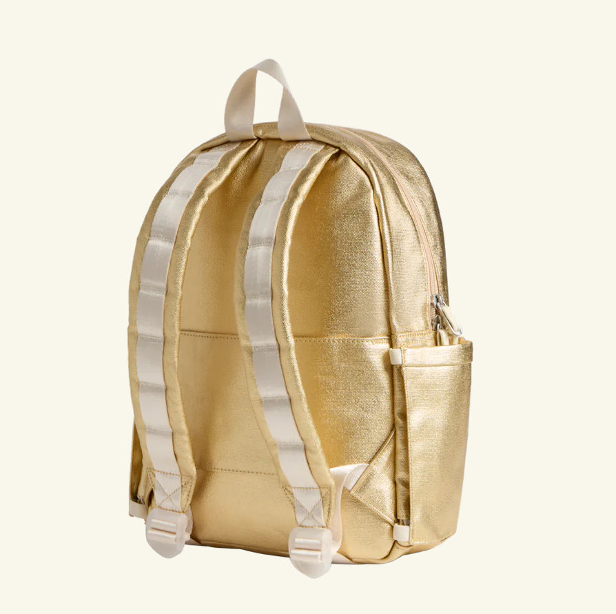 Kane Double Pocket Large Backpack Silver/Gold