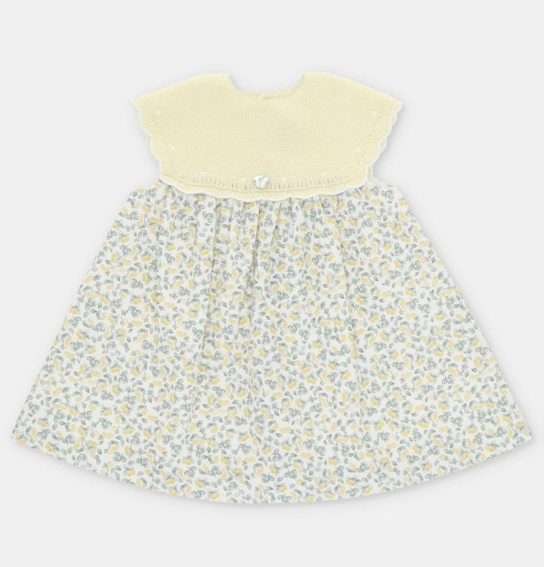 Winnipeg Girl Dress