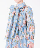 Porcelain Garden Blue Dress