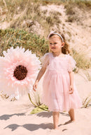 Pale Pink Dress