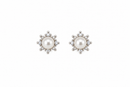 White Pearl 14Kt. Earrings