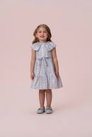 Blue & Pink Dress