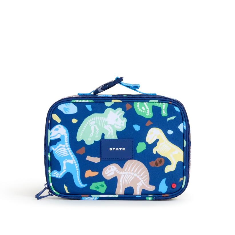 Lunch Box Dino Fossils