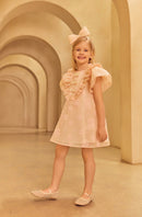 Charming Organza Dress