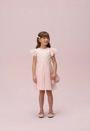 Tulled Pink Dress