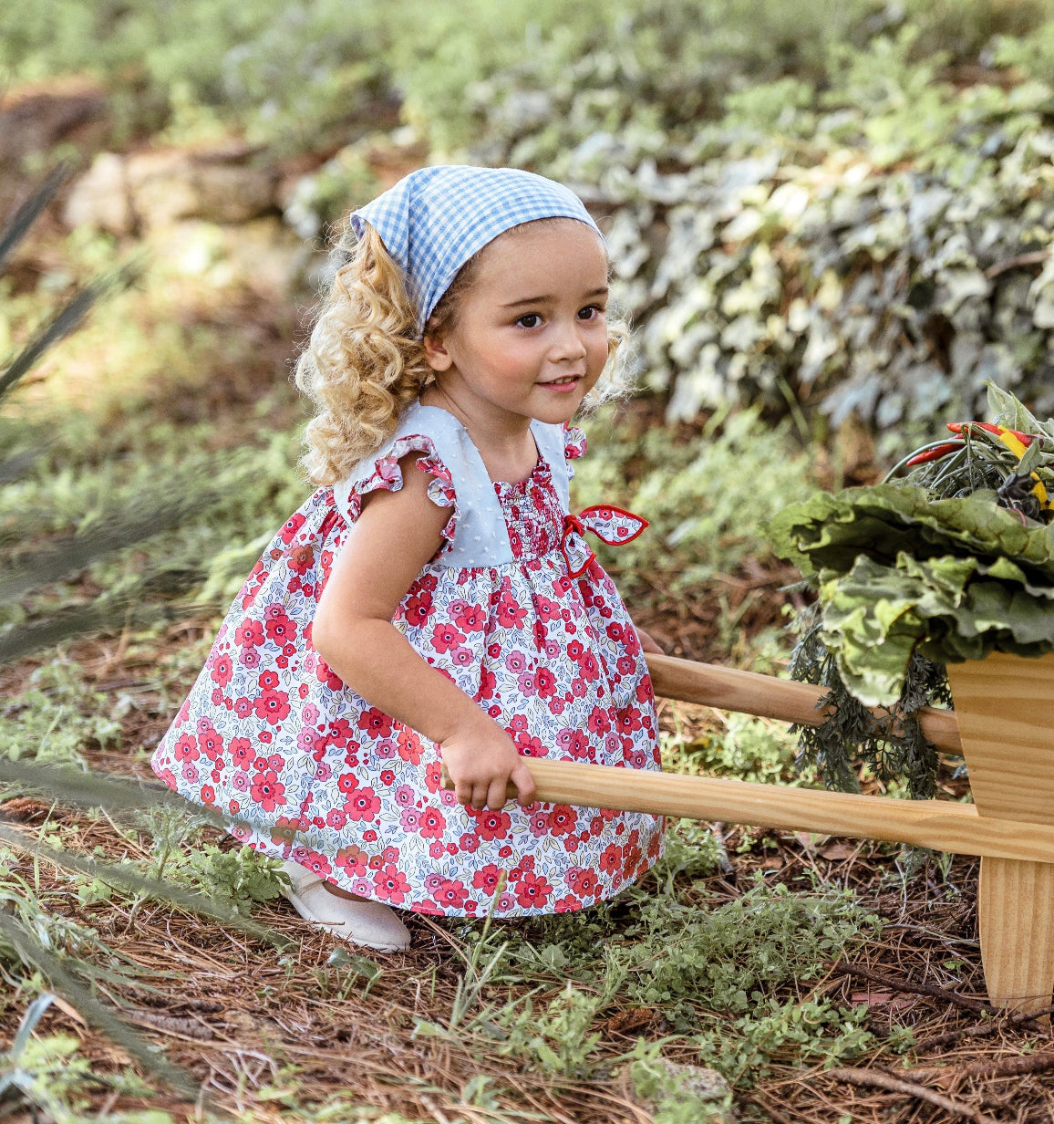 Seagull Family Baby Girl Dress