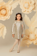 Dazzling Silver Dress