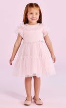 Rose Ballerina Dress
