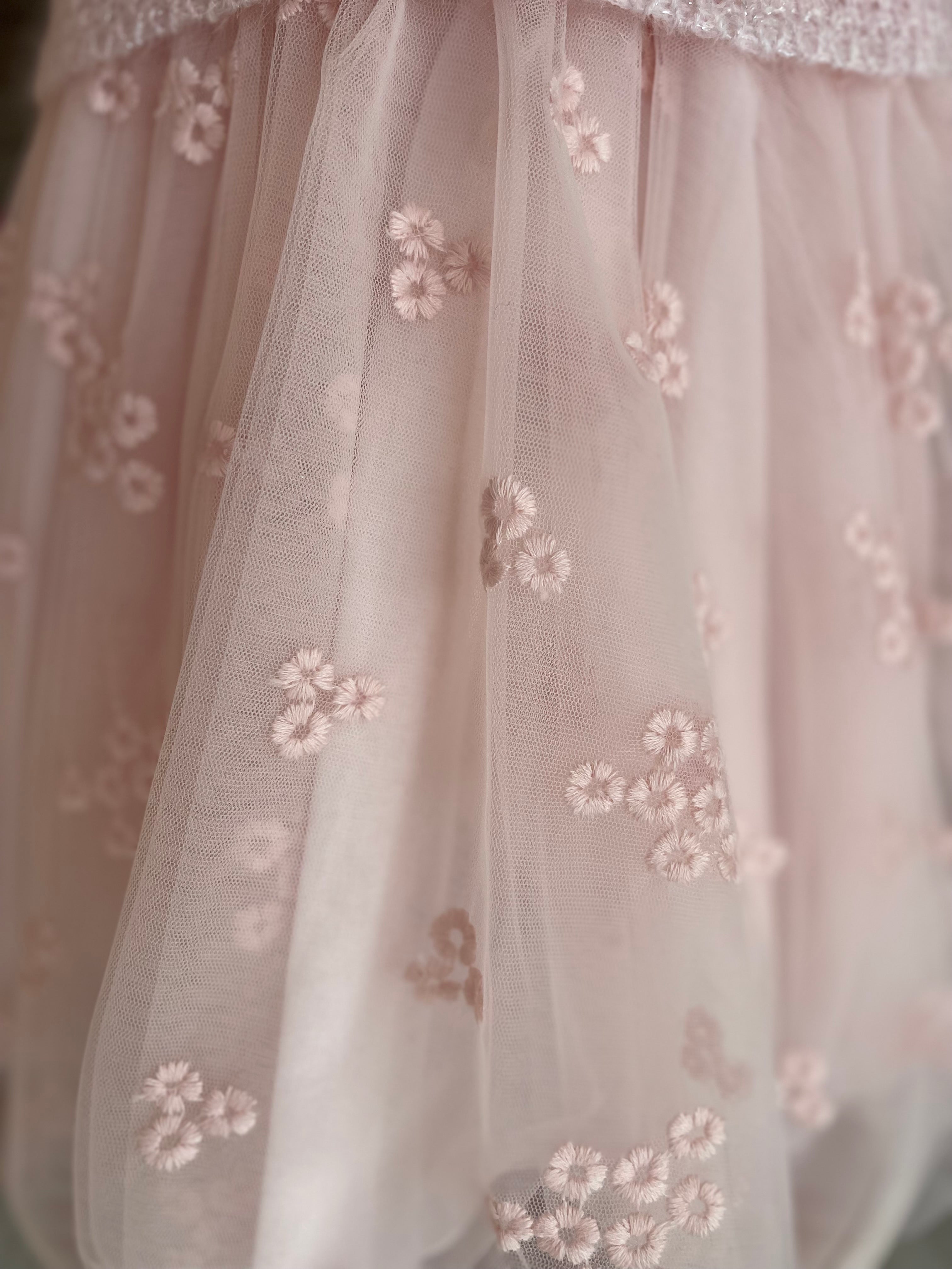 Pale Rose Dress