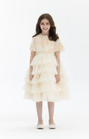Layered & Sequins Dress