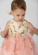 Pink Feathers Baby Dress