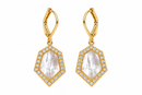 Clear Beauty Earrings