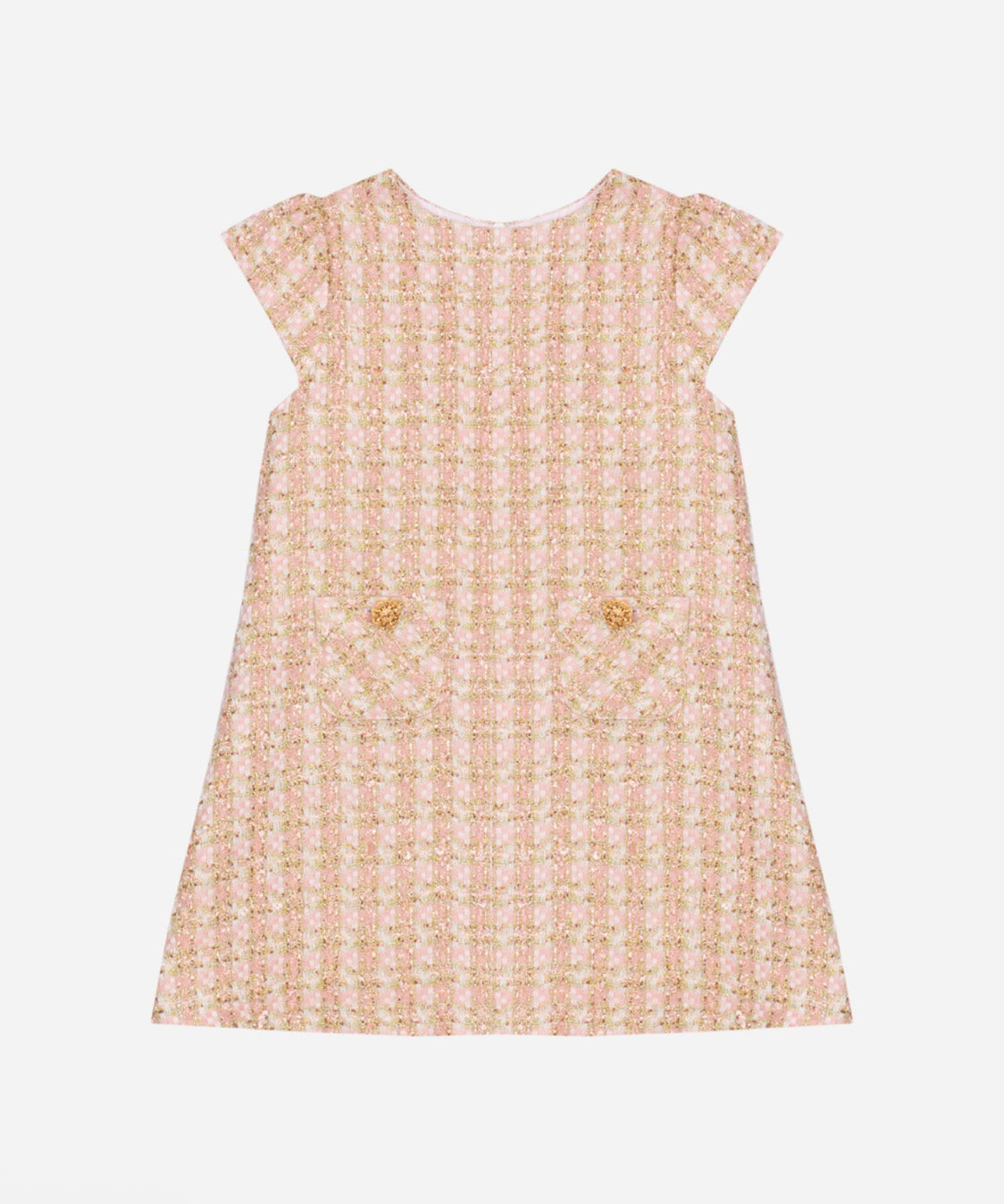 Pale Pink & Golden Beauty Dress