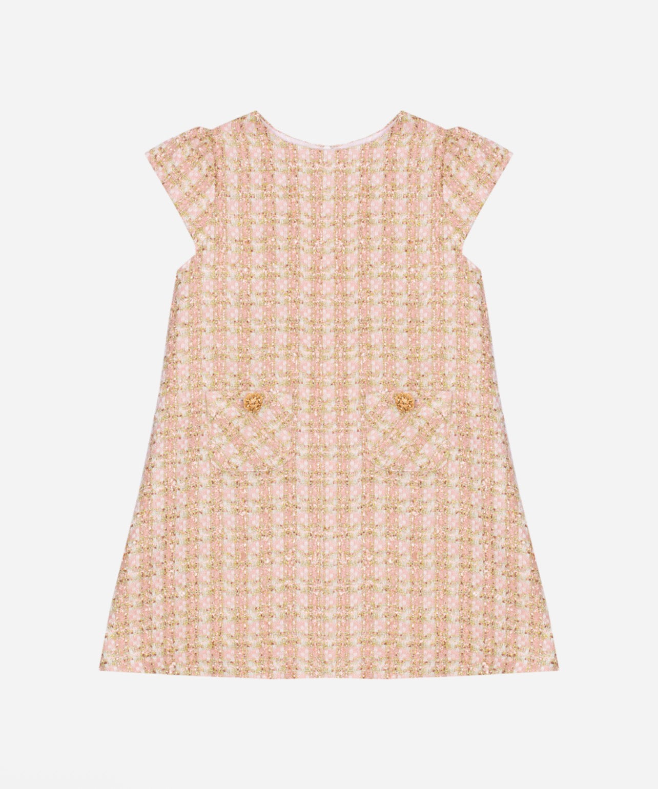 Pale Pink & Golden Beauty Dress