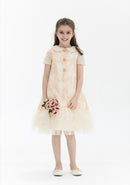 Sequins Flowers Dress