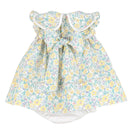 Soft Colors Baby Dress