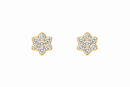 Clear Flower 14Kt. Earrings