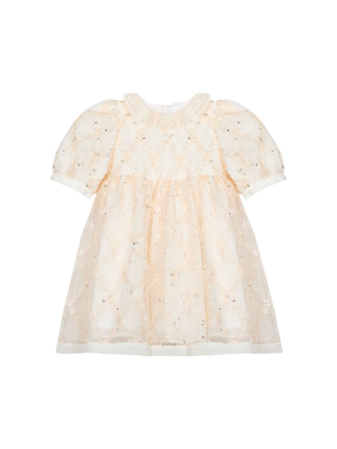 Tulle Beige Dress