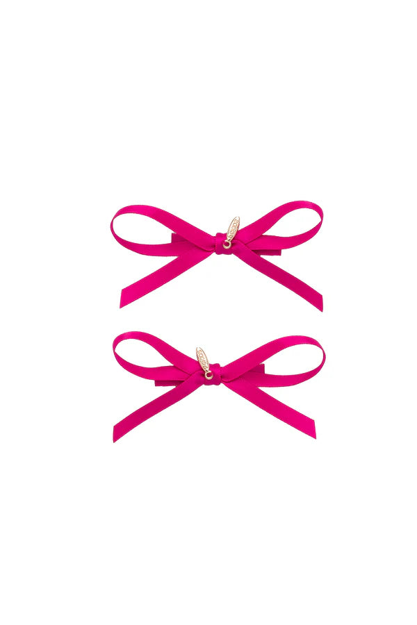 Gerber Clip Set Of 2- Azalea Hot Pink