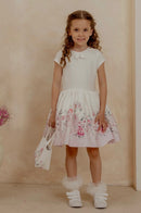 Blush Harmony Beauty Dress