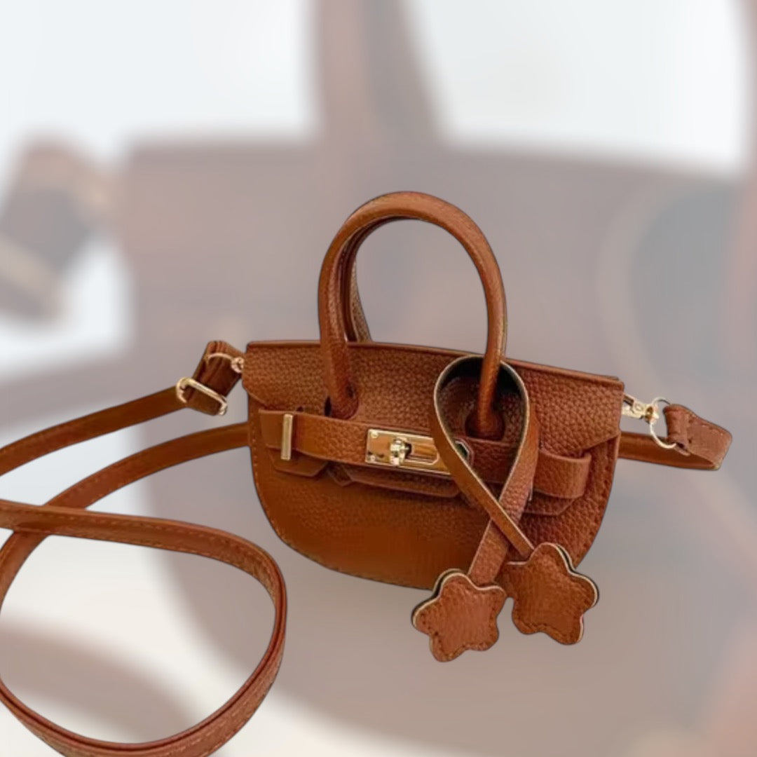 Brown Mini Handbag