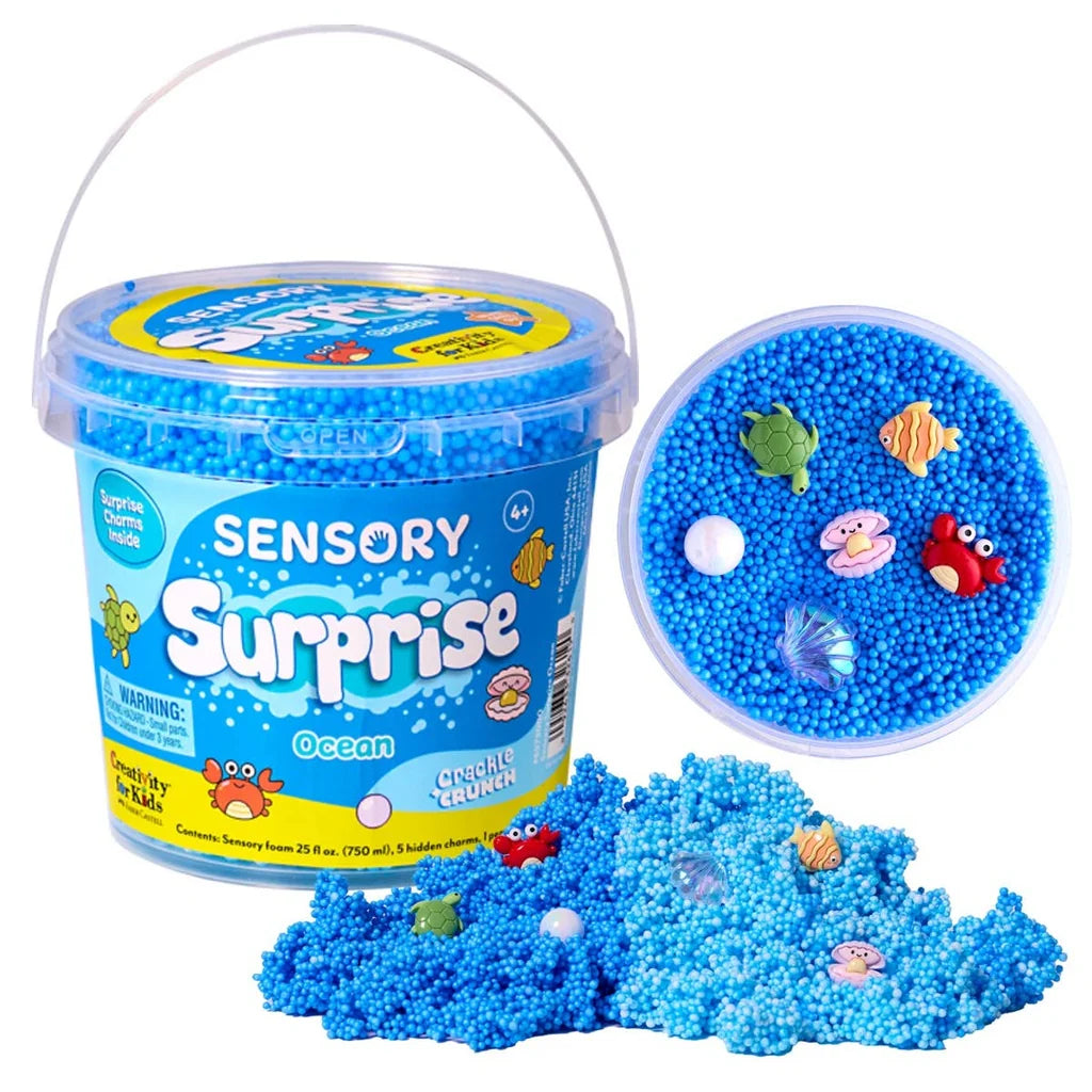 Sensory Surprise Ocean