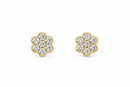 Silver Flower 14Kt. Earrings